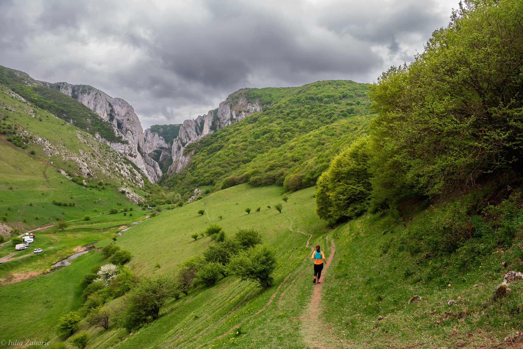 CHEILE TURZII RACE