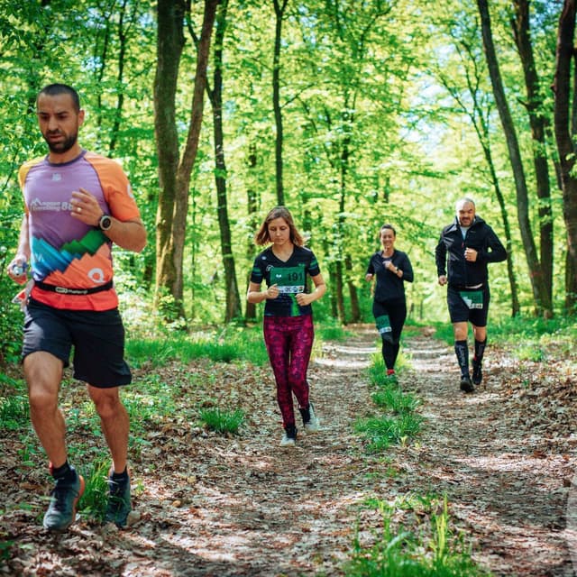 FOREST RACE MARGHITA