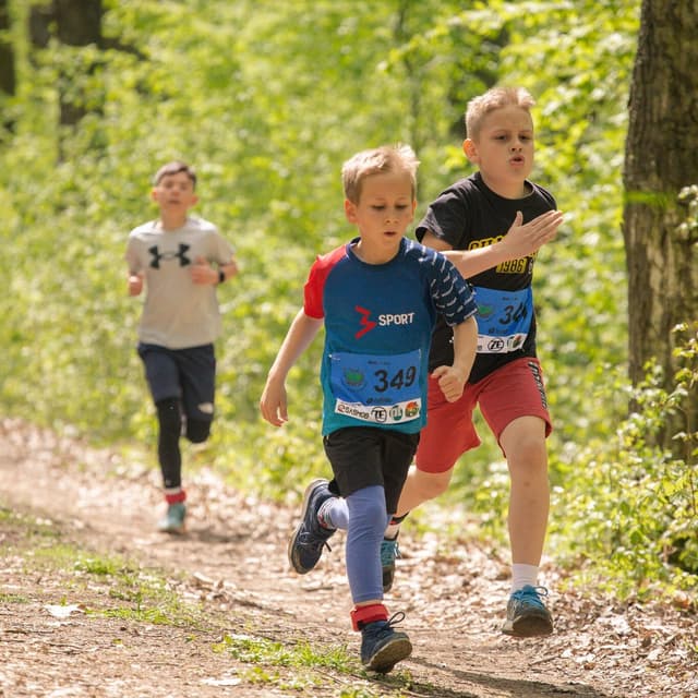 FOREST RACE MARGHITA