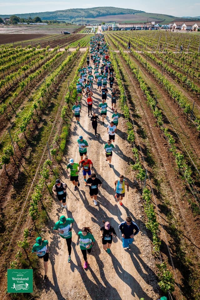 JIDVEI WEINLAND TRAILS