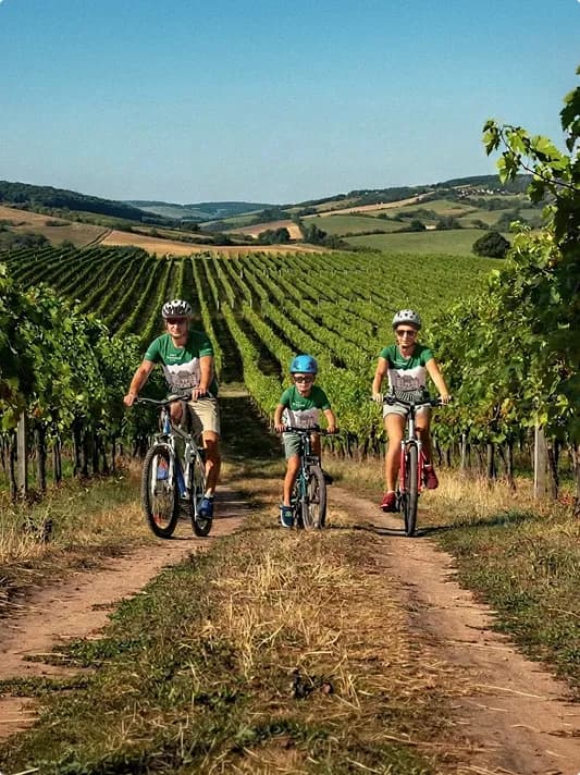 JIDVEI WEINLAND TRAILS